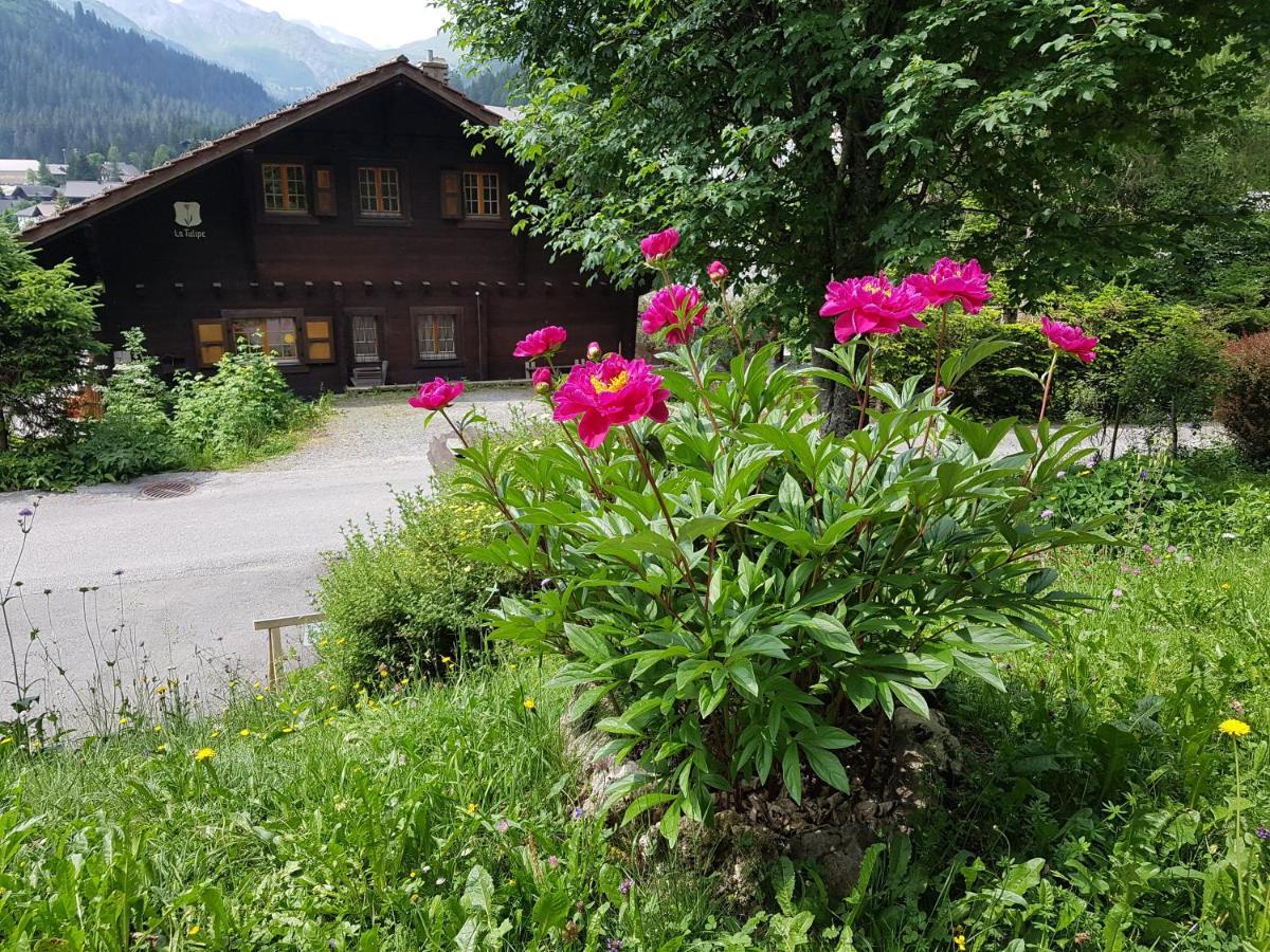 Le Castor Bed & Breakfast Morgins Dış mekan fotoğraf