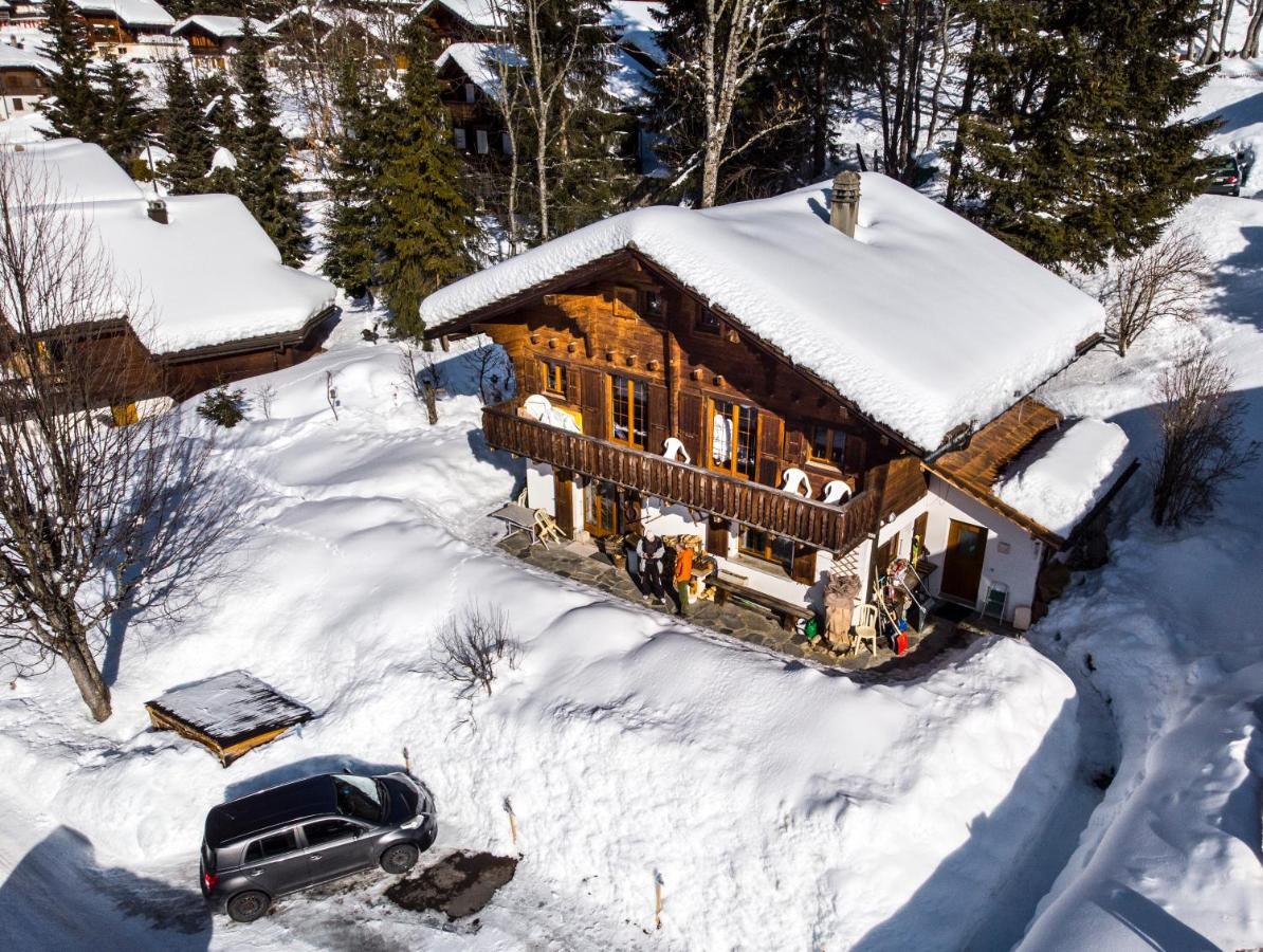 Le Castor Bed & Breakfast Morgins Dış mekan fotoğraf